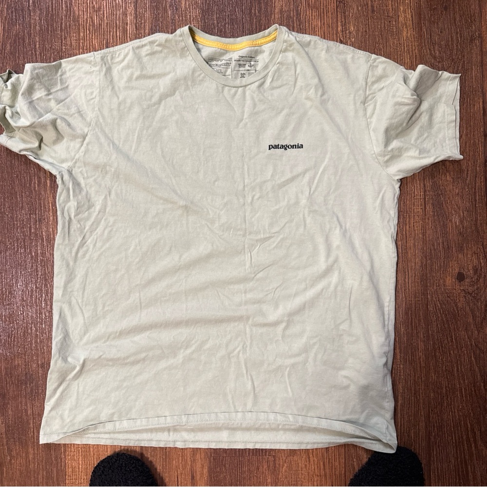 Patagonia Men's Light green t shirt